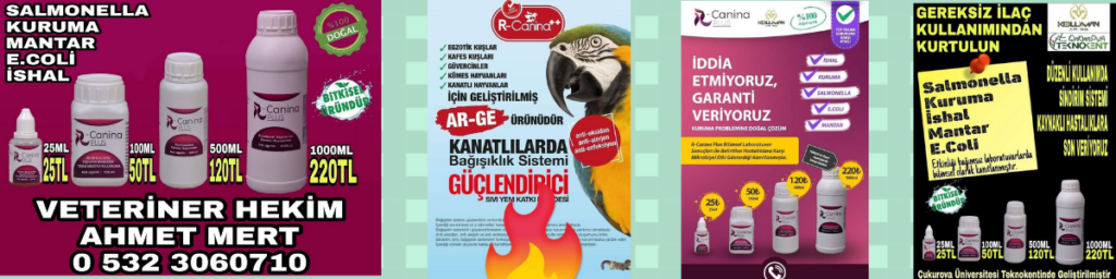 Mert Pet Shop