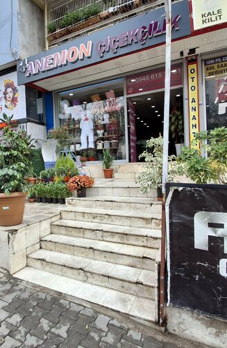Anemon Çiçekçilik