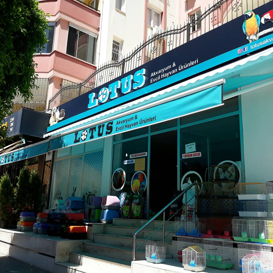 Lotus Akvaryum & Evcil Hayvan Ürünleri