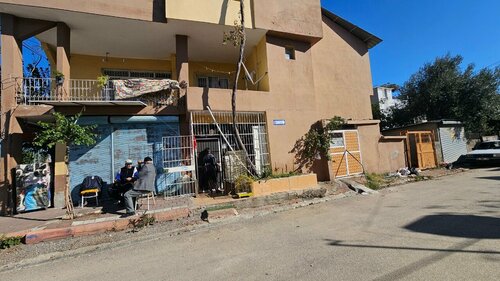Muhabbet Kuşu ve Süs Balık Dünyası