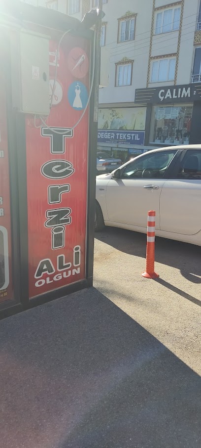 TERZI ALi OLGUN