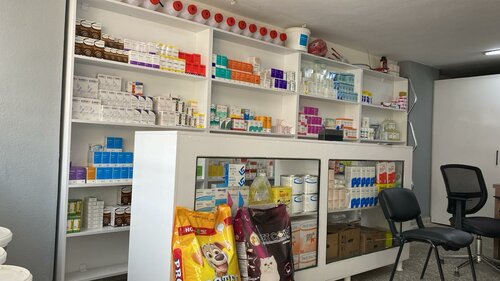 Ekim Veteriner Kliniği