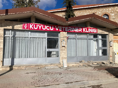 Kuyucu veteriner kliniği