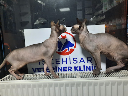 İscehisar Veteriner Kliniği