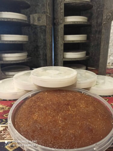 Kaymakçızade afyon