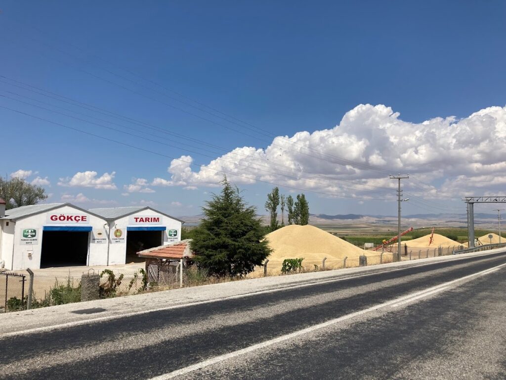 Gökçe Tarım