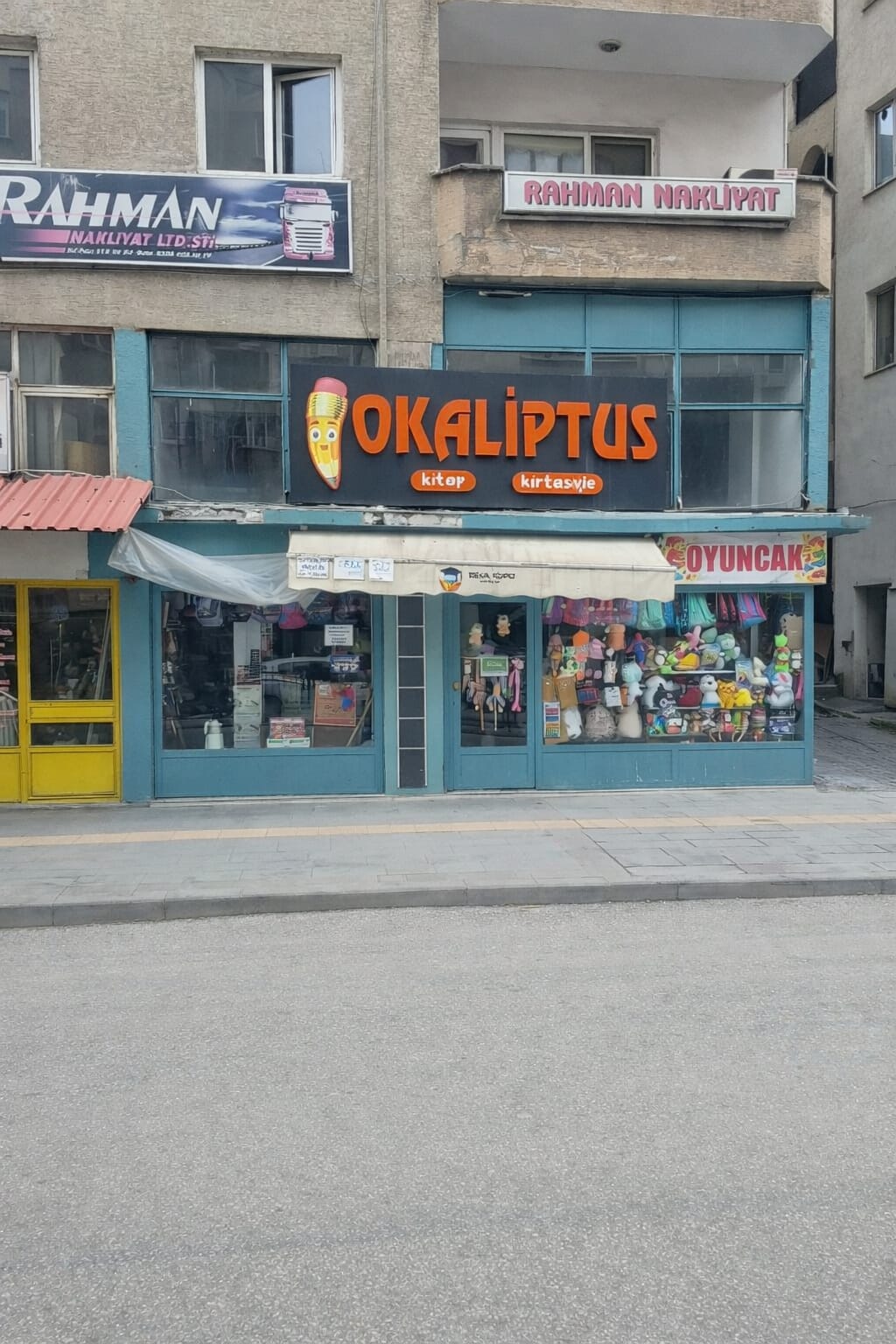 Okaliptus kırtasiye