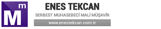 Serbest Muhasebeci Mali Müşavir Enes Tekcan