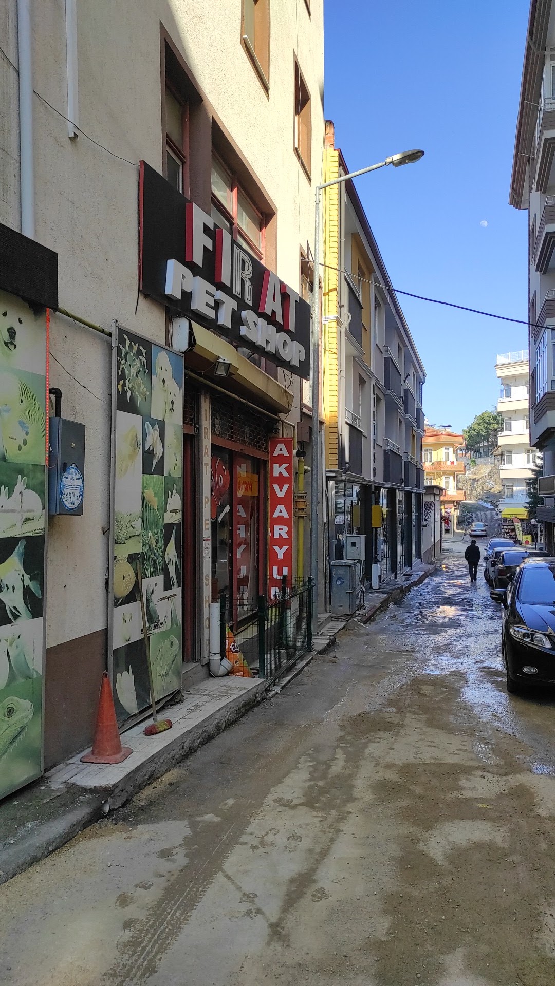 Fırat Petshop