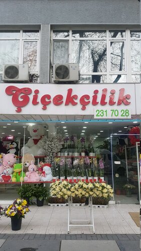 Zirve Çiçekçilik