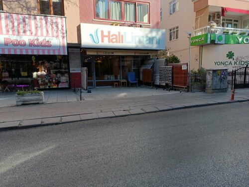 Halı Limanı