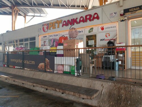 Pet Ankara