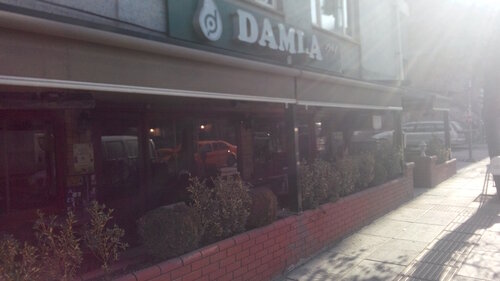 Damla Pastanesi 1964