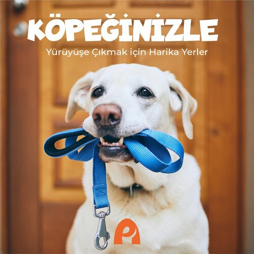 Anadolu Pet