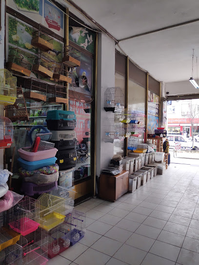 ETİMESGUT PETSHOP AKVARYUMCU KEDİ KUŞ MAMA