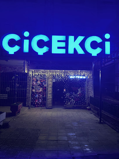Aygül Çiçekçilik