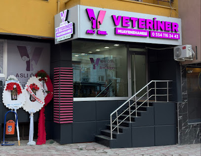 Aslı Özel Veteriner Kliniği