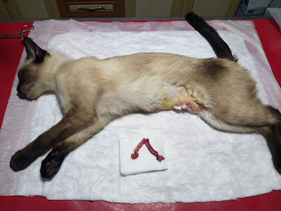 TOPCU VETERİNER KLİNİĞİ
