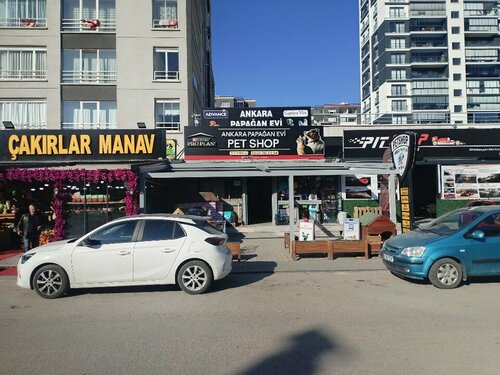 Ankara Papağan Evi