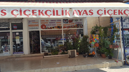 AYAS ÇİÇEKÇİLİK