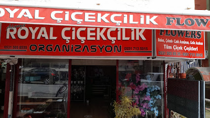 Royal Çiçekçilik – Alanya Çiçekçi -Alanya Çiçek Siparişi