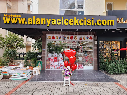 Alanya Hasbahçe Çiçek /Flowers флорист