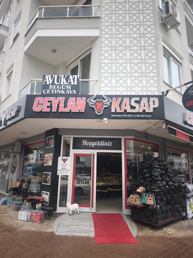 Ceylan Kasap