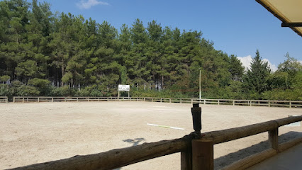 Orfe Atlı Spor Kulübü