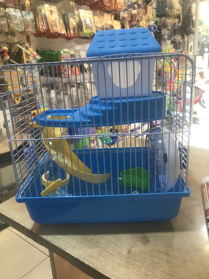 TWEETY PETSHOP