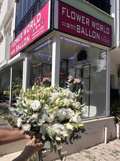 Flower World Ballon & Antalya Çiçekçi