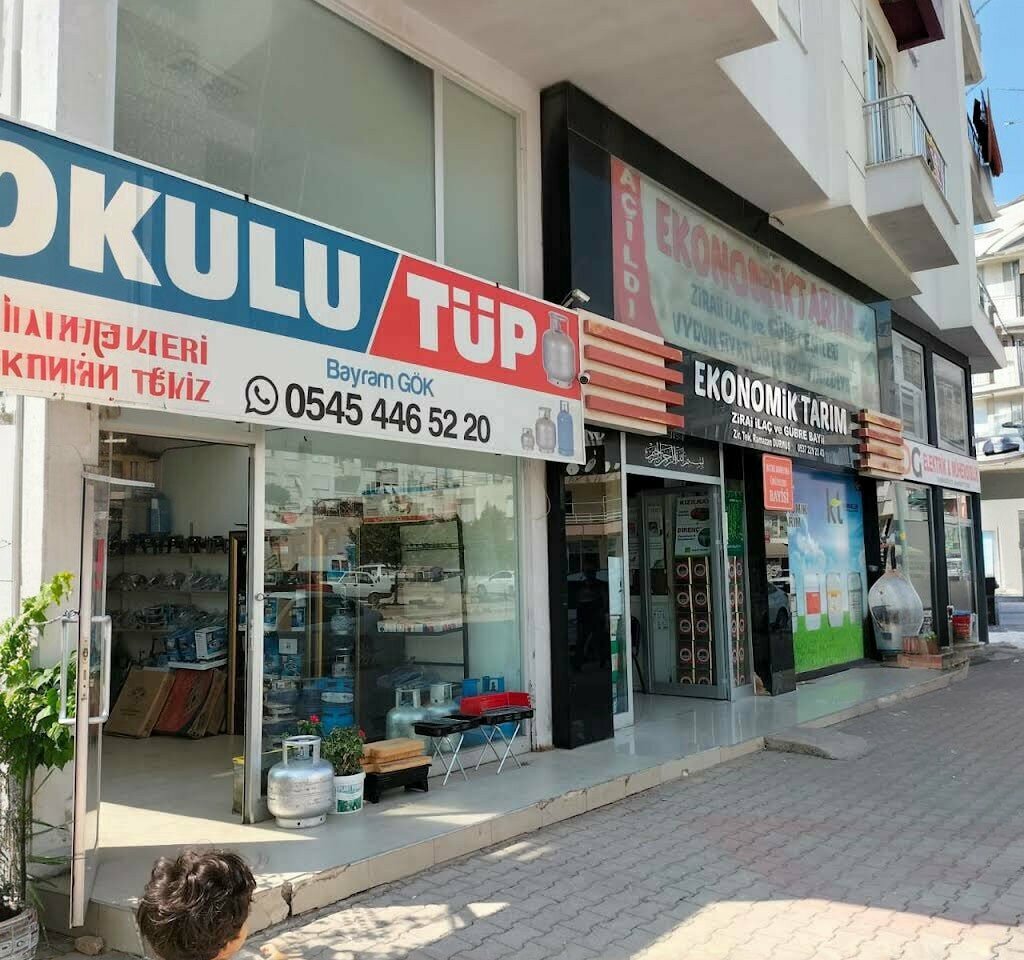 Okulu Tüp