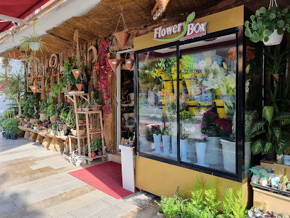 Okan Çiçekçilik Manavgat
