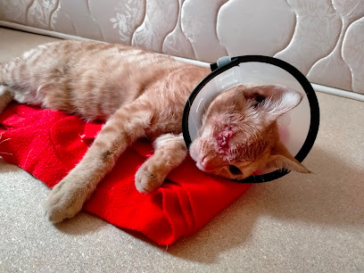 Hedef Veteriner Kliniği – Mustafa Ataş