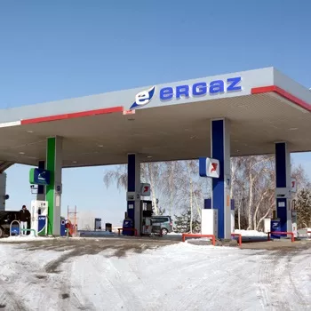 Ergaz Tüp Bayi