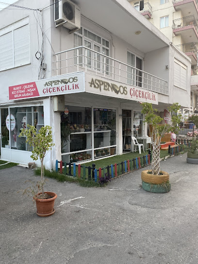 Serik Aspendos Çiçekçilik