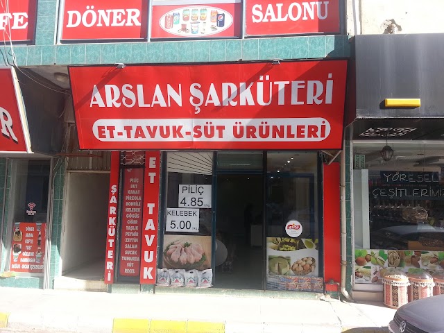 Arslan Kasap