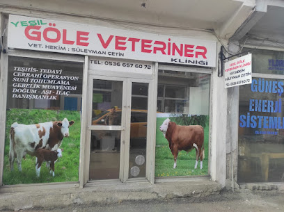 Yeşil göle veteriner kliniği
