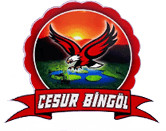 Cesur Bingol
