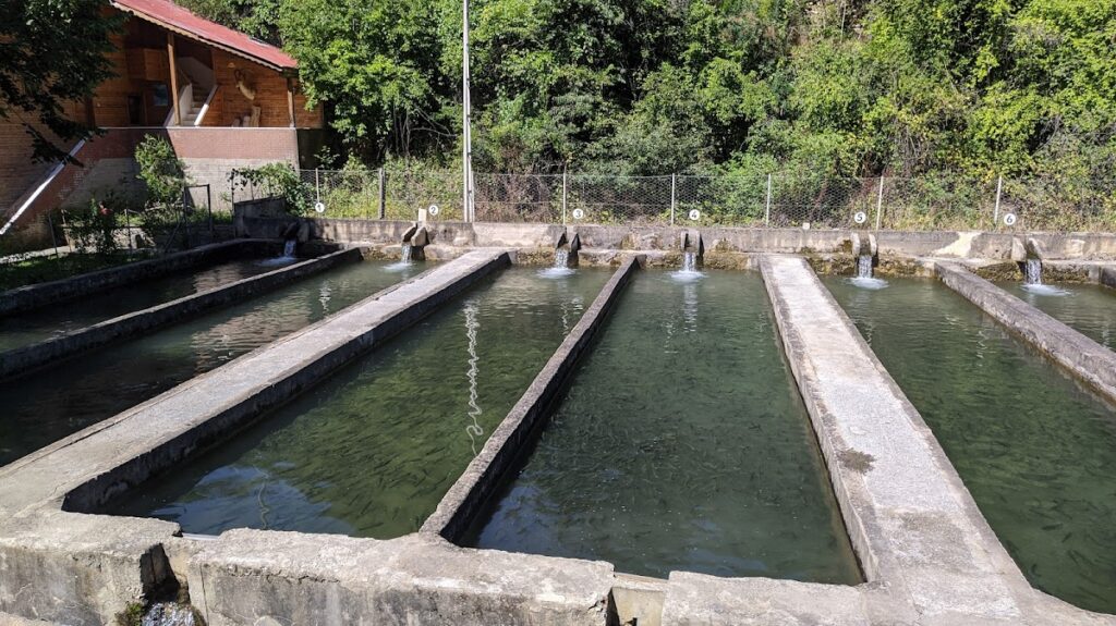 Agara Otel