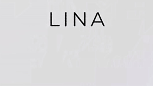 LİNA OTO YIKAMA