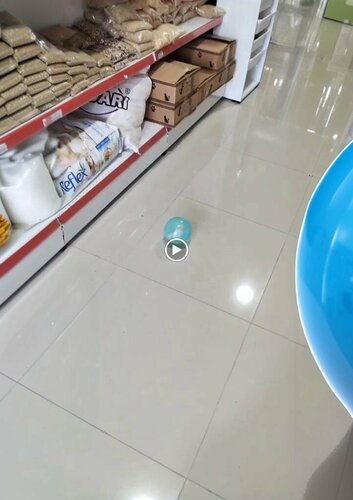 Girne Pet Market