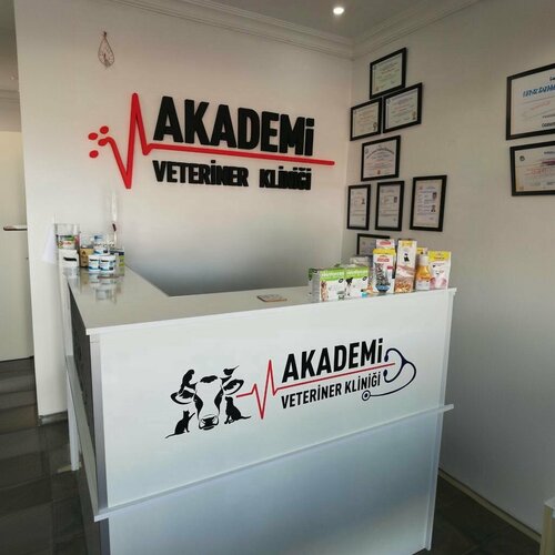 Akademi Veteriner Kliniği
