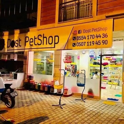 Dost Petshop