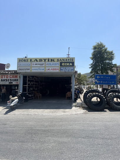 SÖKE LASTIK SANAYI