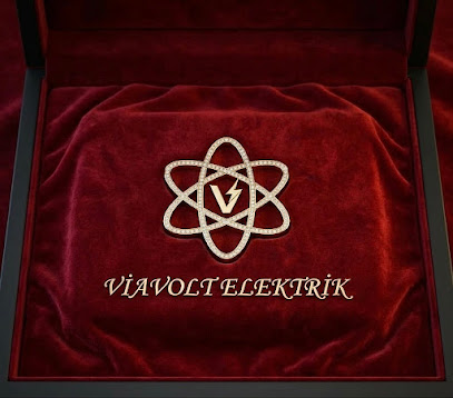 Viavolt Elektrik