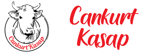 Cankurt Kasap