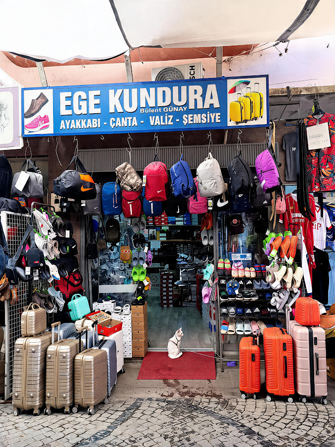 EGE KUNDURA AYVALIK