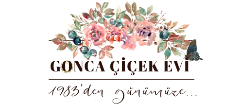 Gonca Çiçekçilik Burhaniye