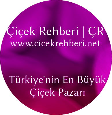 Yağmur Çiçekçilik Dursunbey