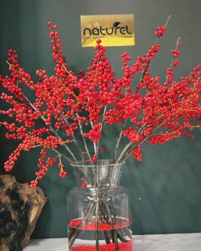 NATUREL ÇİÇEK TASARIM VE ORGANİZASYON